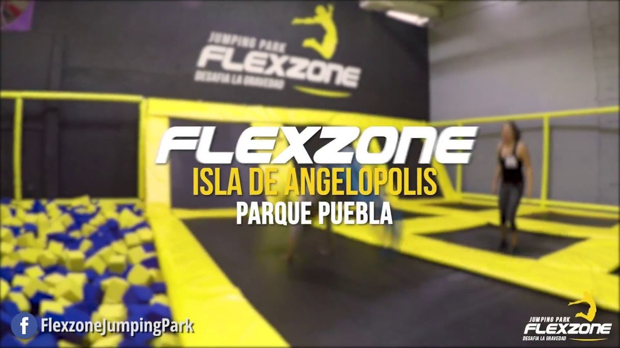 Lugar Flexzone Angelopolis