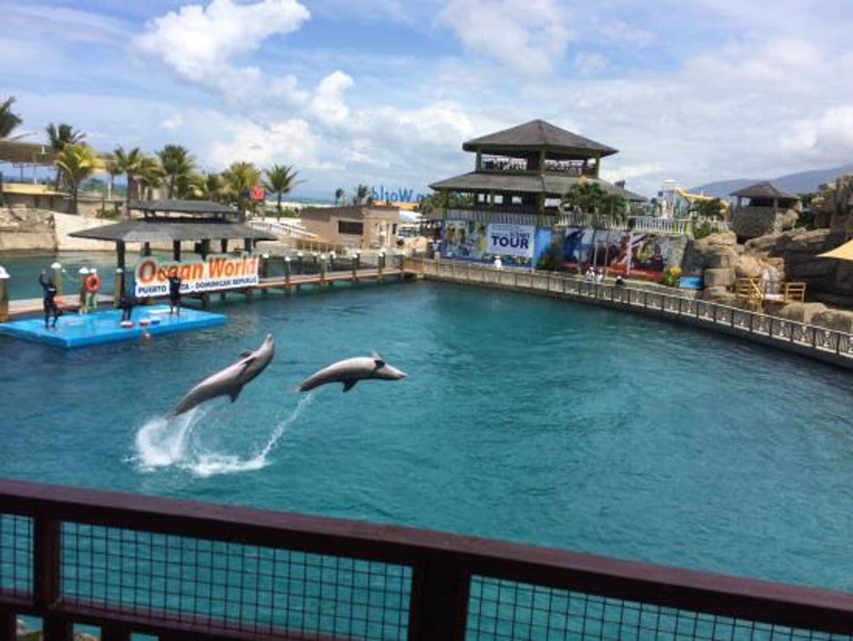 Lugar Ocean World Adventure Park, Puerto Plata