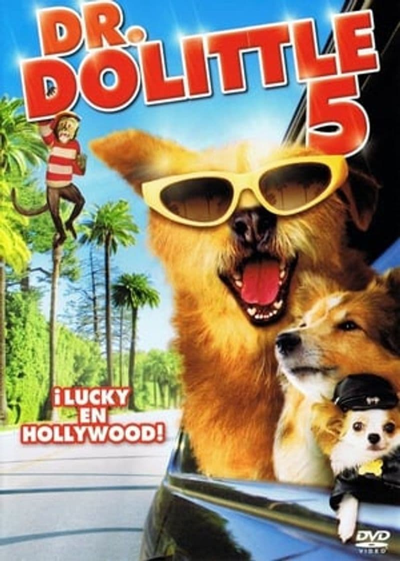 Película Dr. Dolittle: Million Dollar Mutts