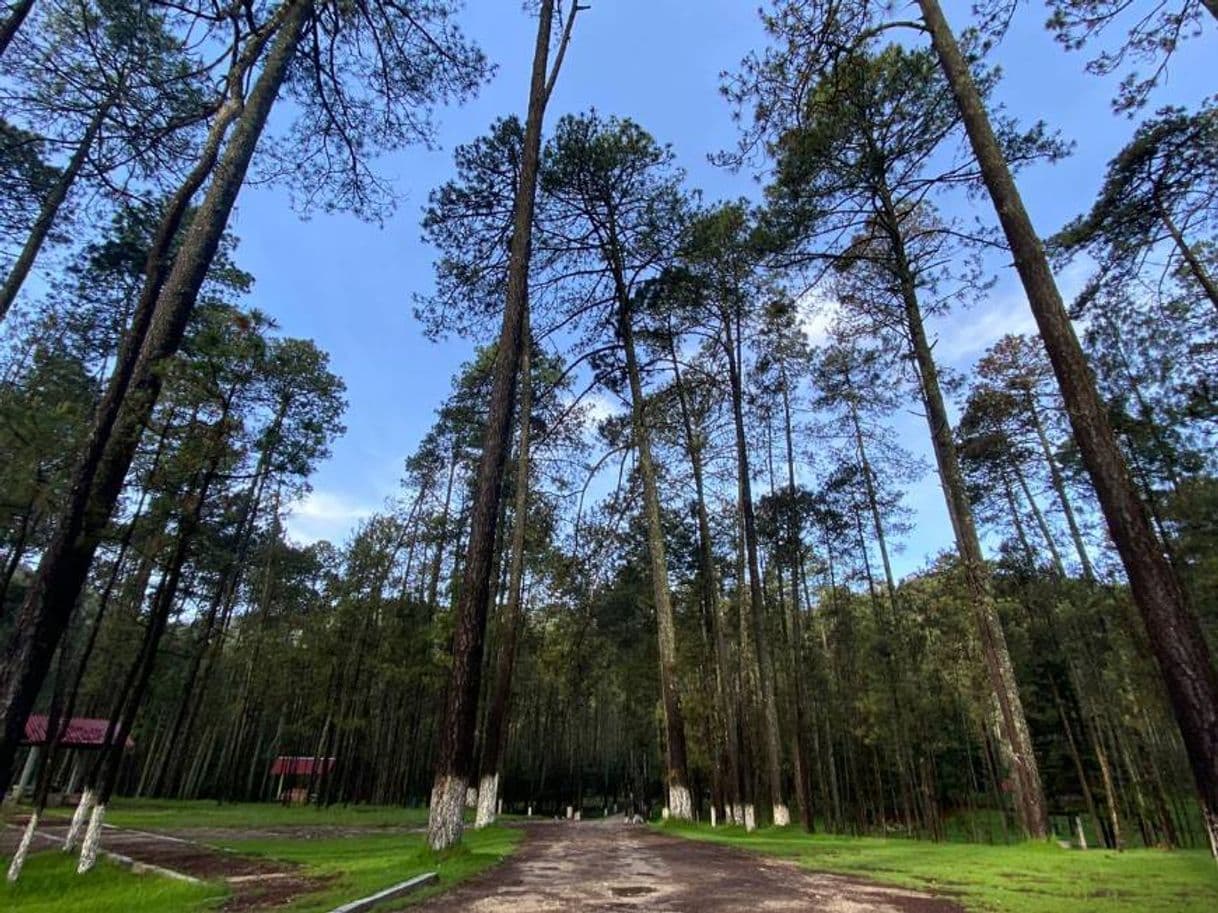 Place San Cristóbal de las Casas