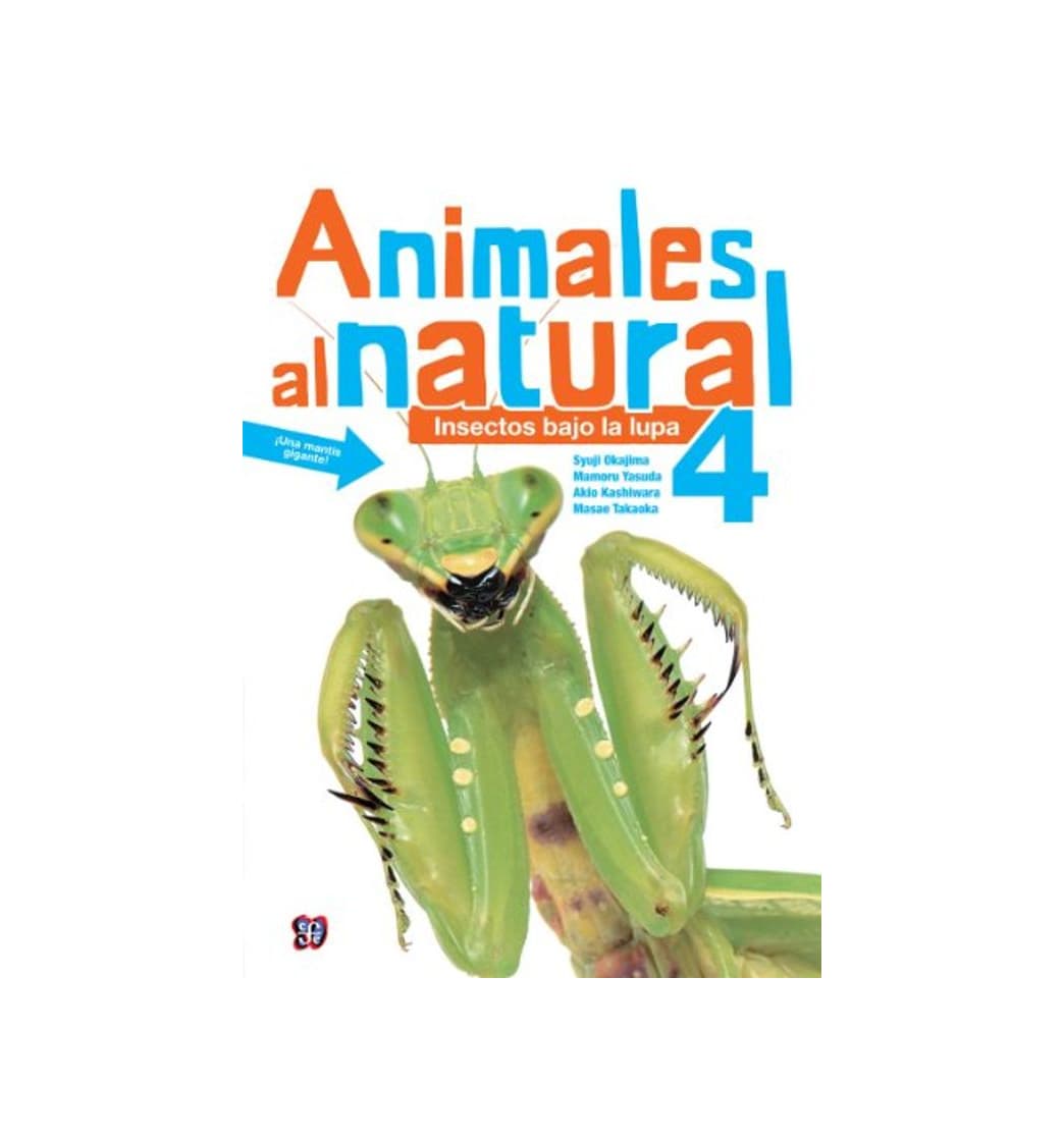 Libro Animales al natural 4. Insectos bajo la lupa