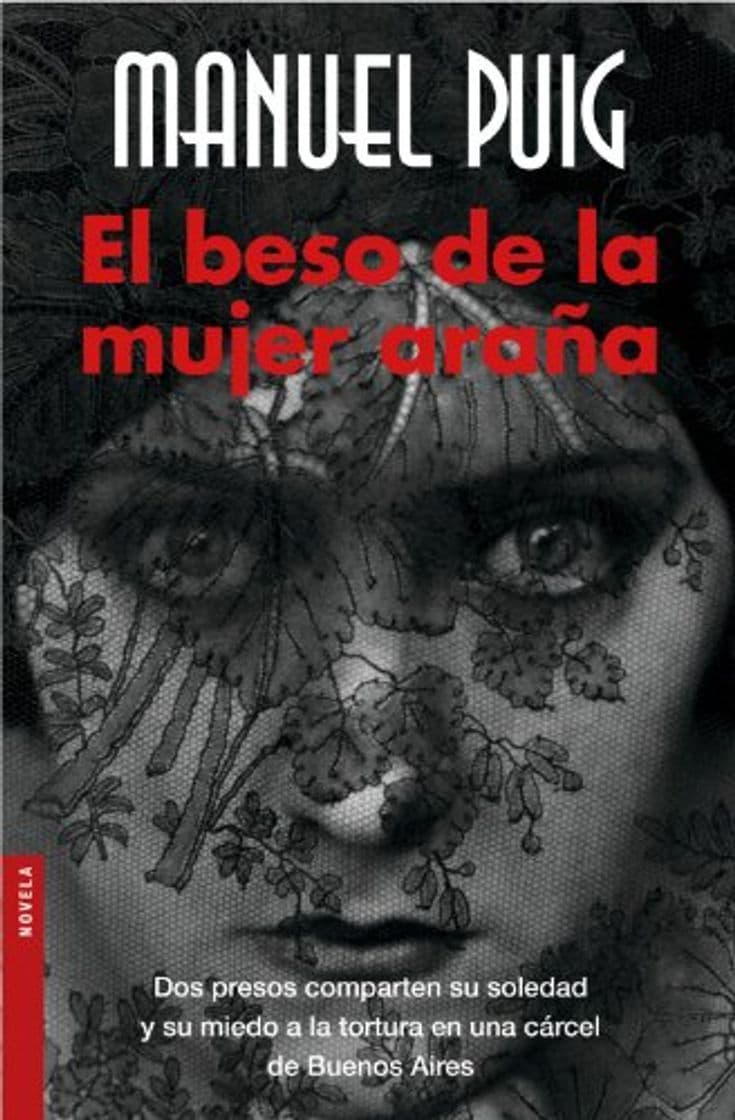 Book El beso de la mujer araña