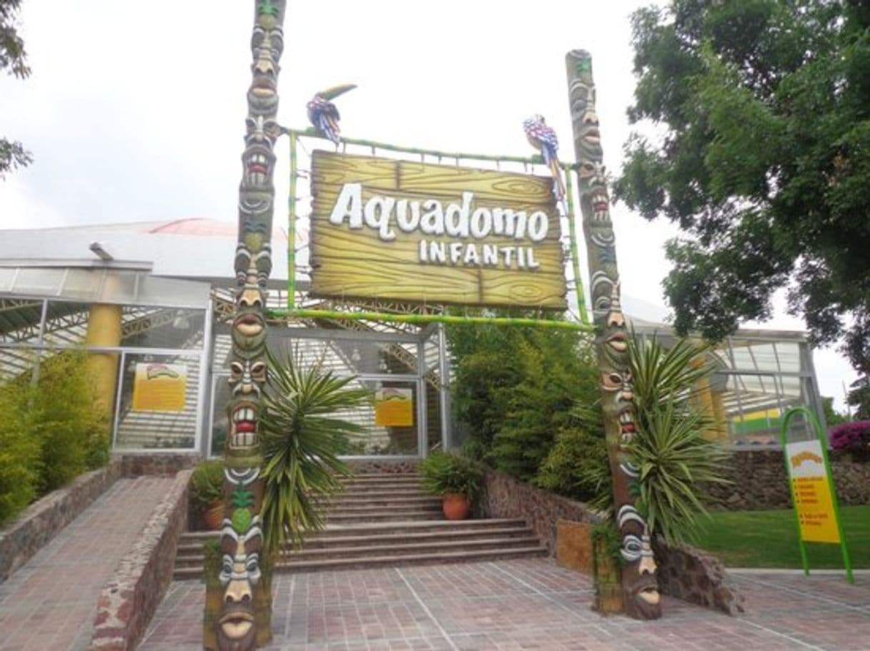 Lugar Parque Acuático Tepetongo