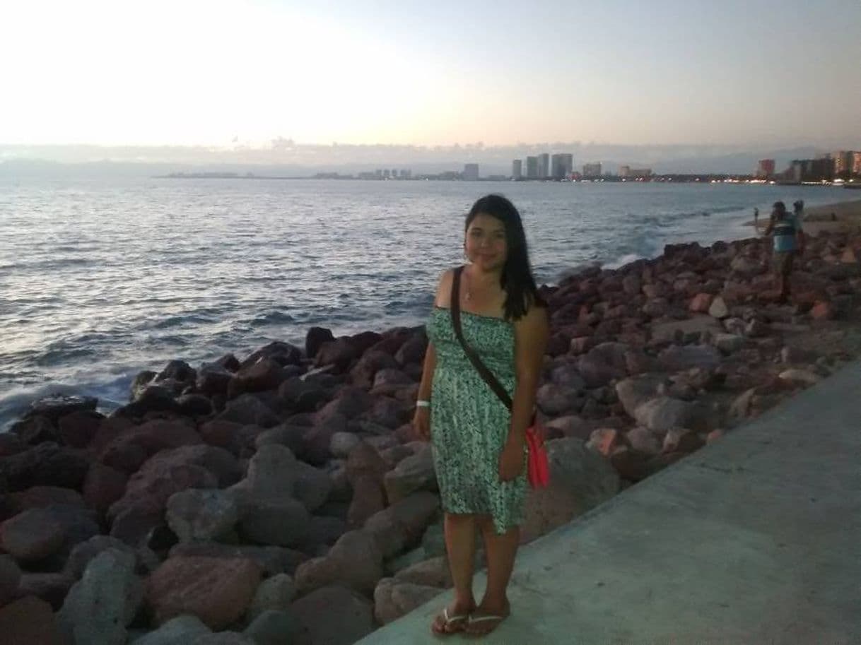 Place Malecón Puerto Vallarta