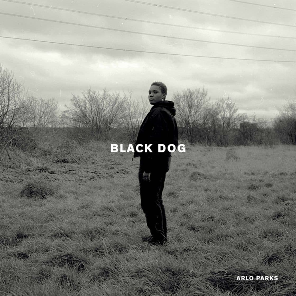 Canción Black Dog