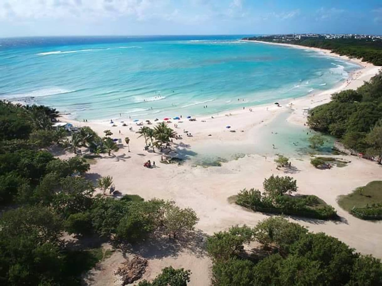 Place Punta Esmeralda en Playa del carmen