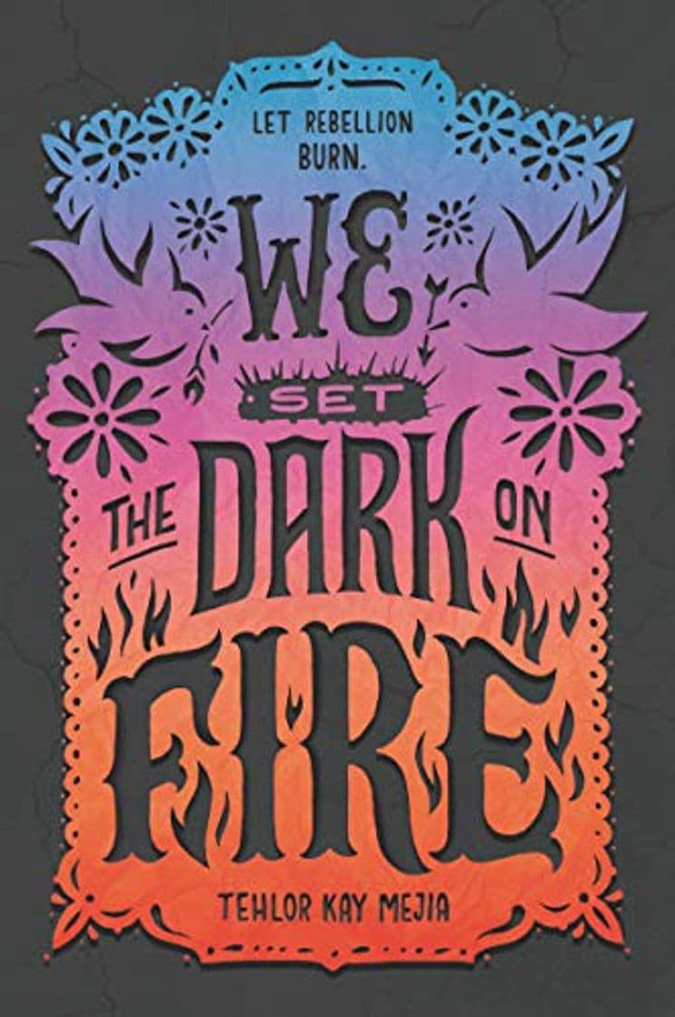 Libro We Set The Dark On Fire