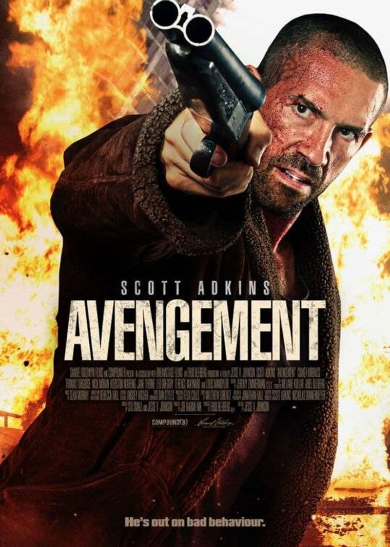 Película Avengement