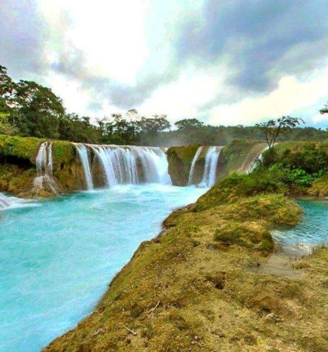 Lugar Cascadas Verdes Las Nubes Centro Ecoturístico