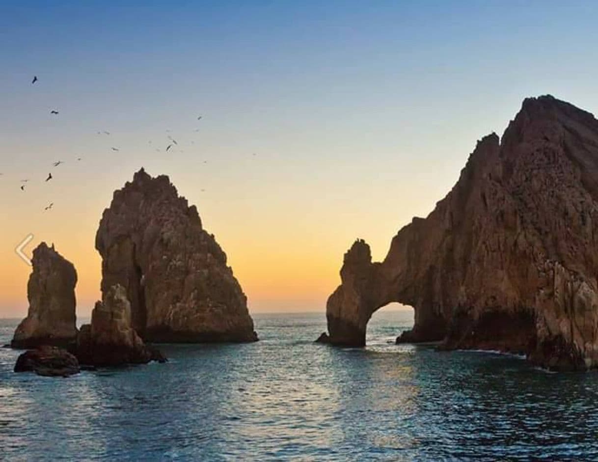 Place Los Cabos