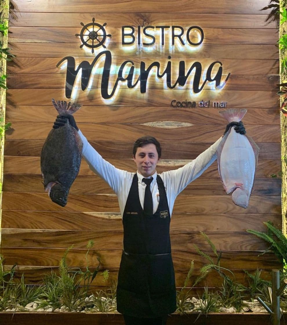 Restaurants Bistro Marina