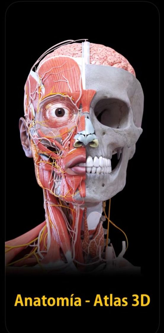 App Anatomía- Atlas 3D