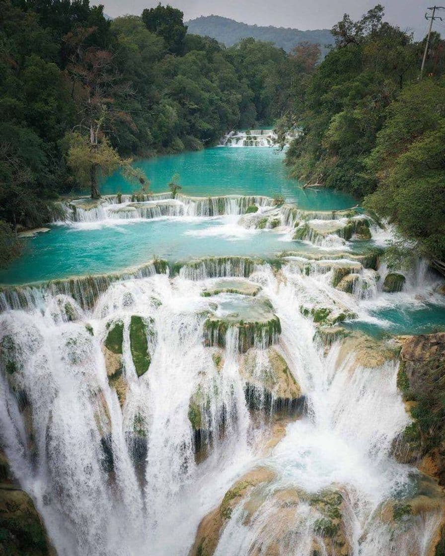 Lugar La huasteca potosina