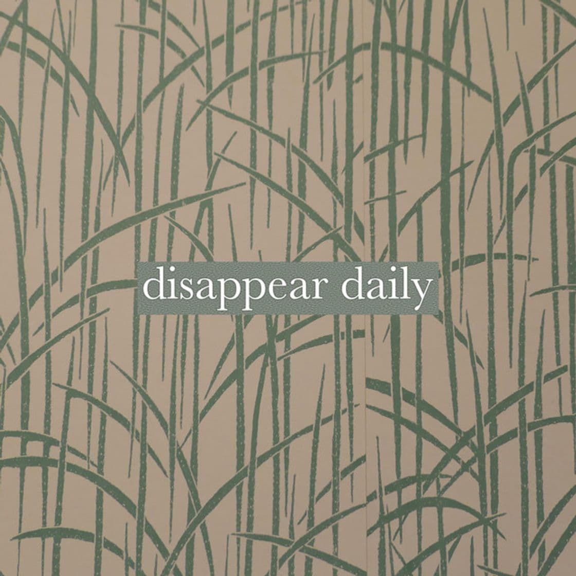 Canción Disappear Daily