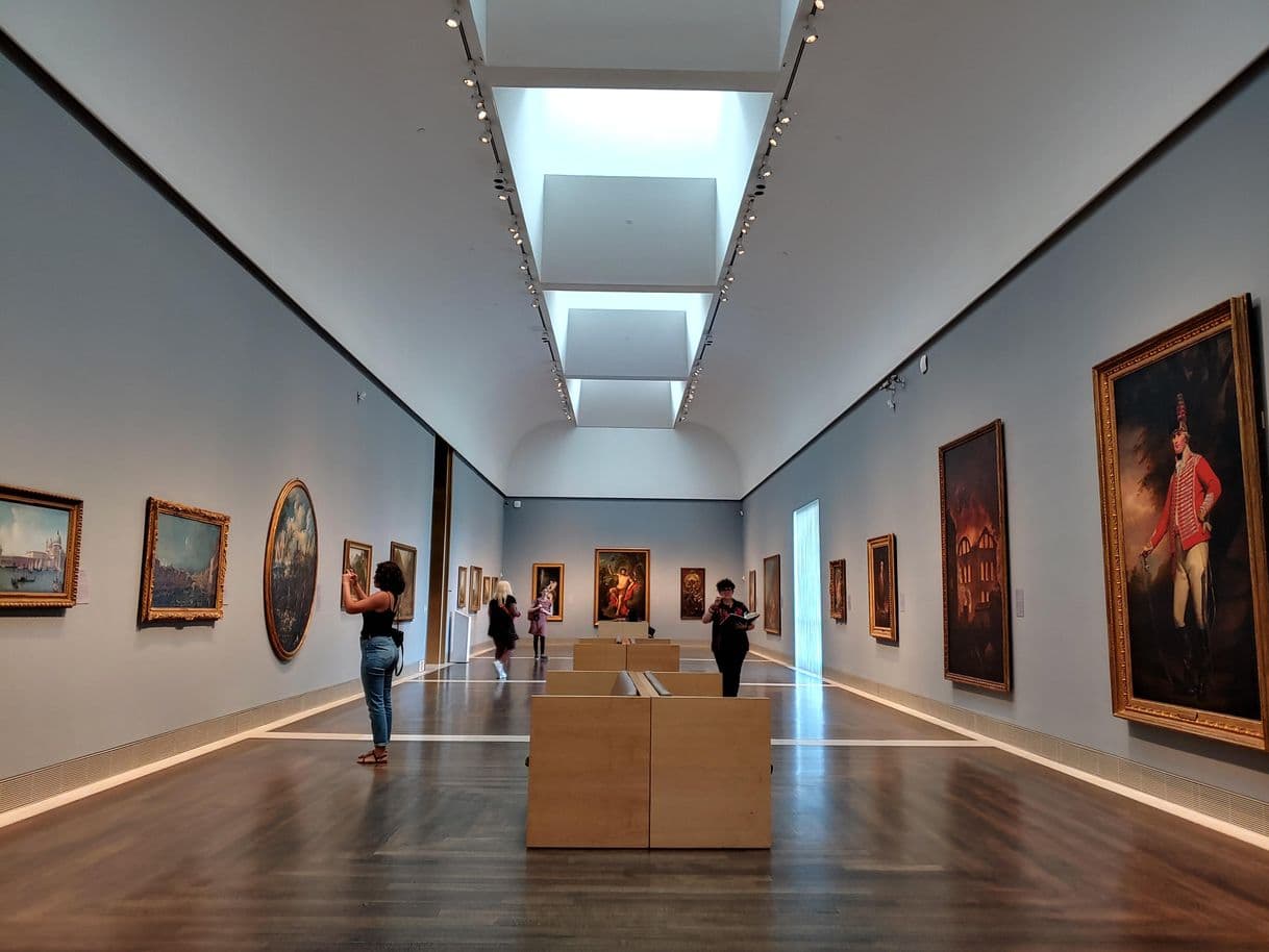 Lugar Museum of Fine Arts, Houston