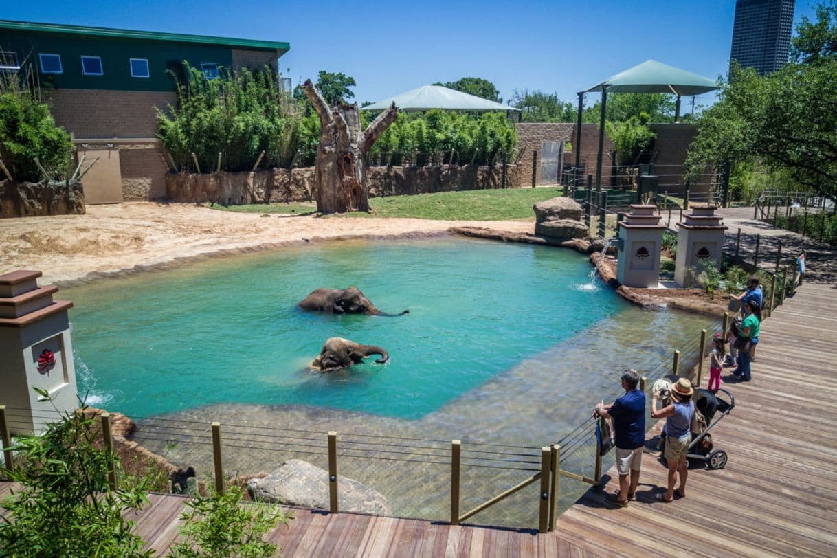 Lugar Zoológico de Houston