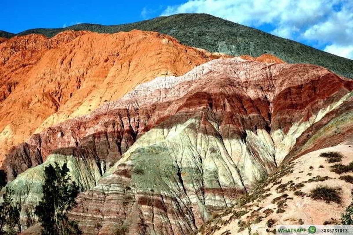 Moda Cerro de los 7 colores | Jujuy