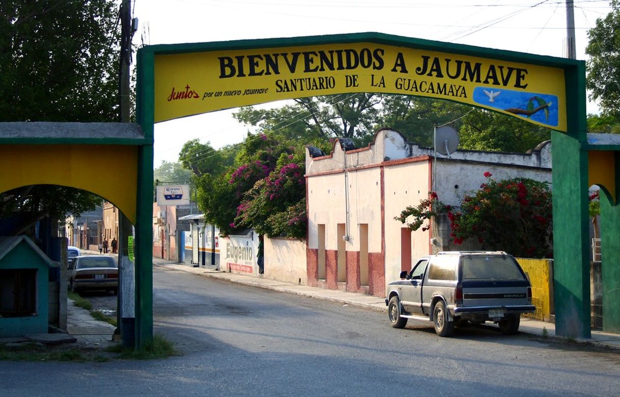 Place Jaumave