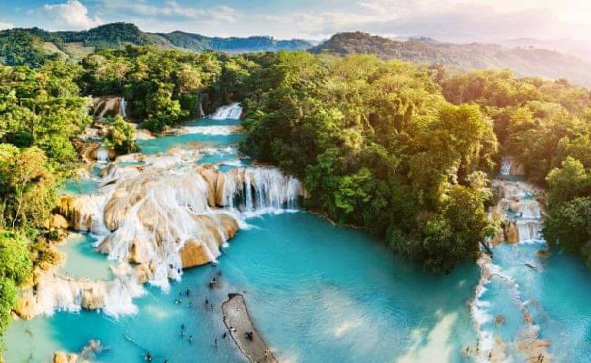 Place Cascadas de Agua Azul