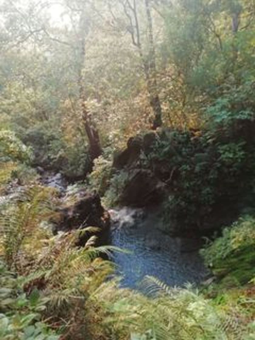 Lugar Cascadas del cerro de la silla