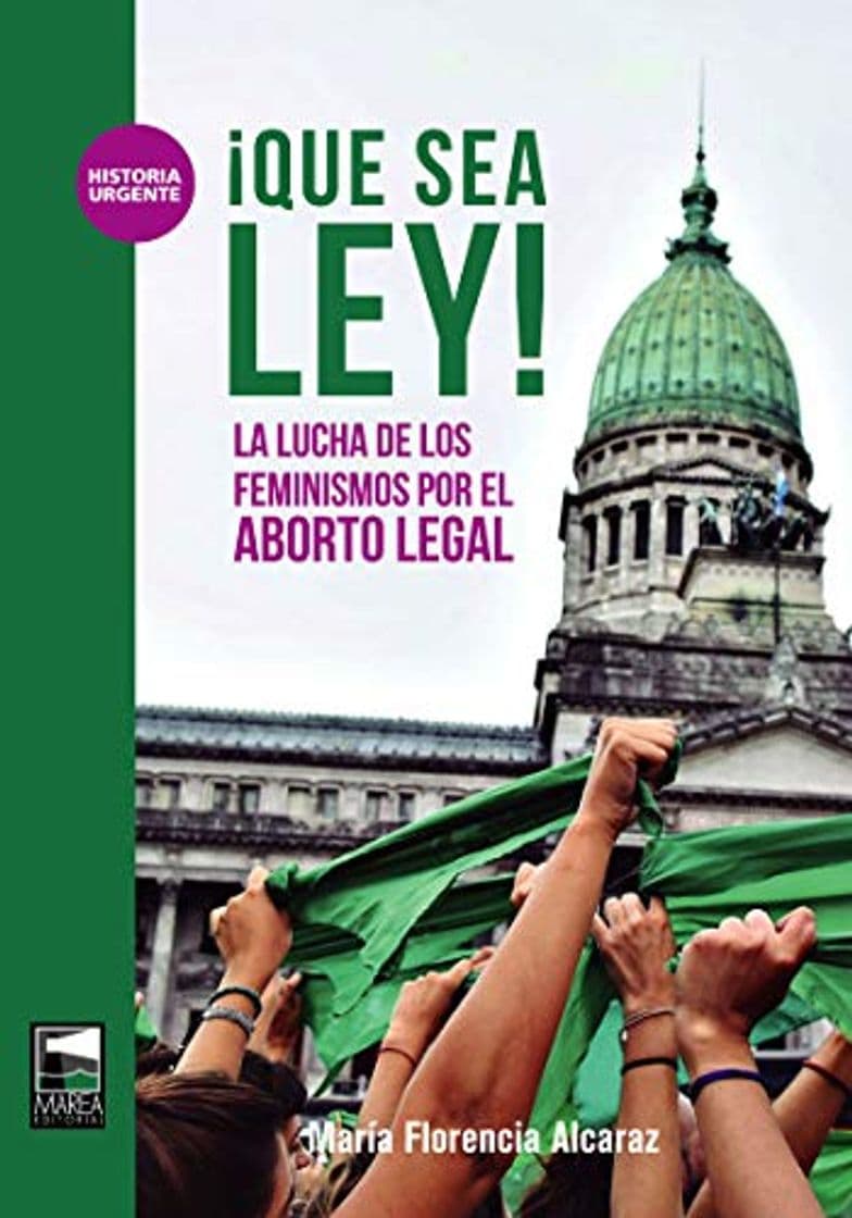 Book Que sea ley: La lucha de los feminismos por el aborto legal