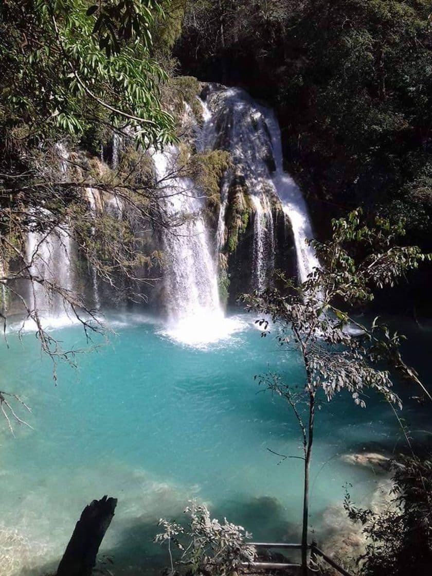 Place Cascadas de Agua Azul