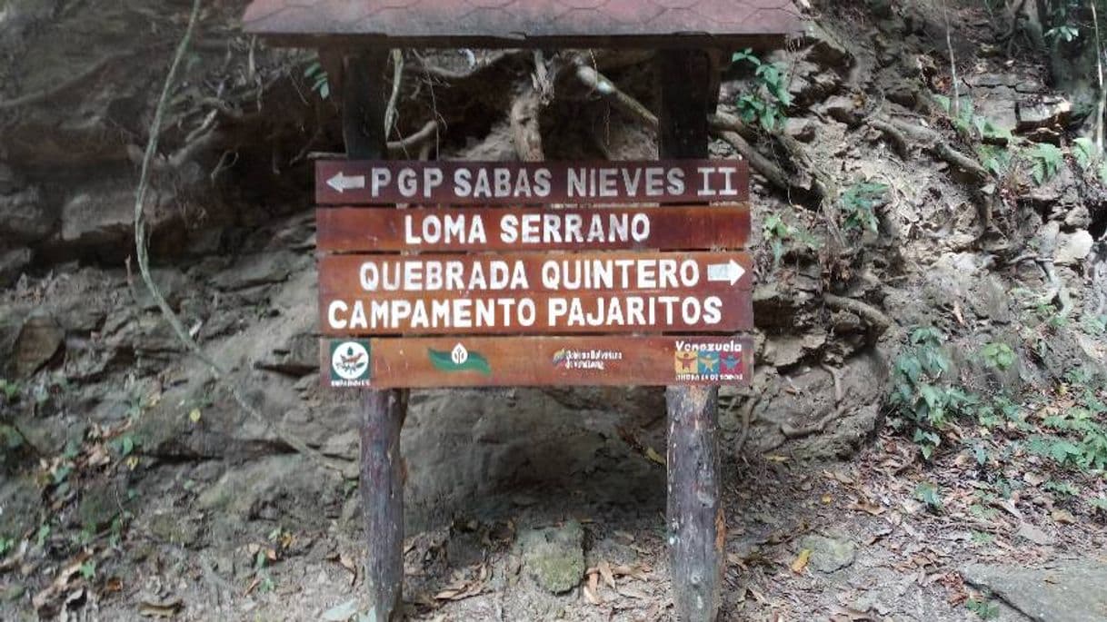 Lugar Sabas Nieves