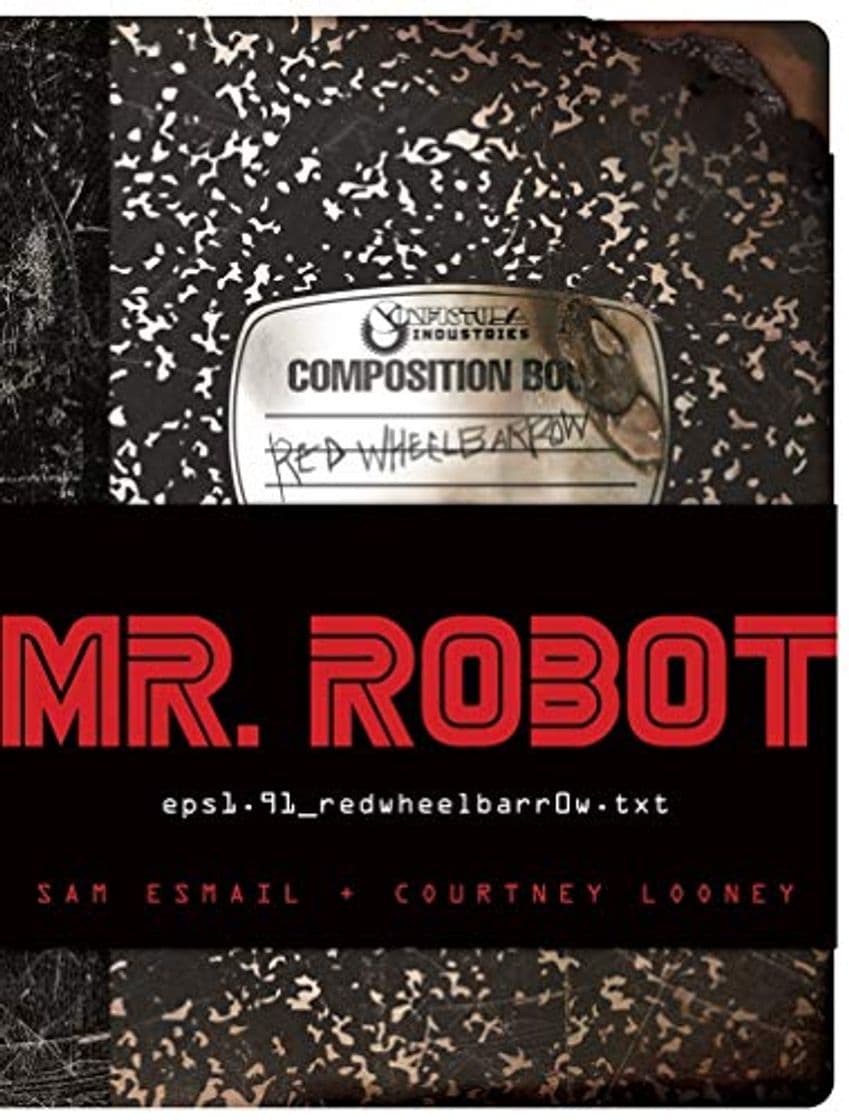 Book Mr. Robot