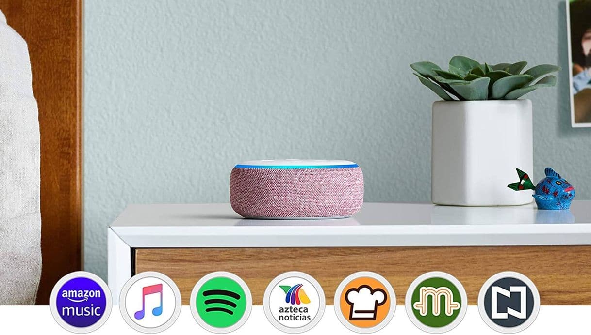 Fashion Echo Dot