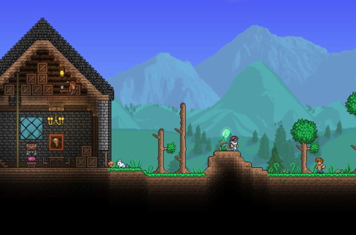 Videogames Terraria