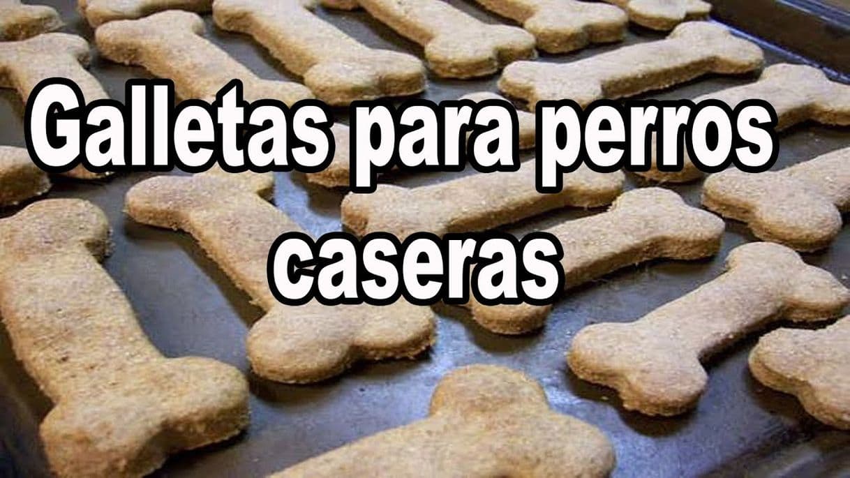 Fashion Haz galletas para tus perritos