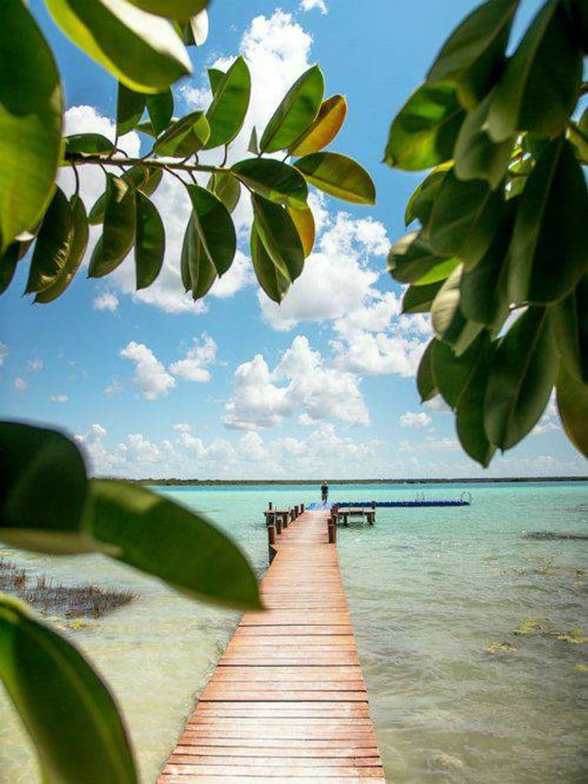 Lugar Isla de Holbox