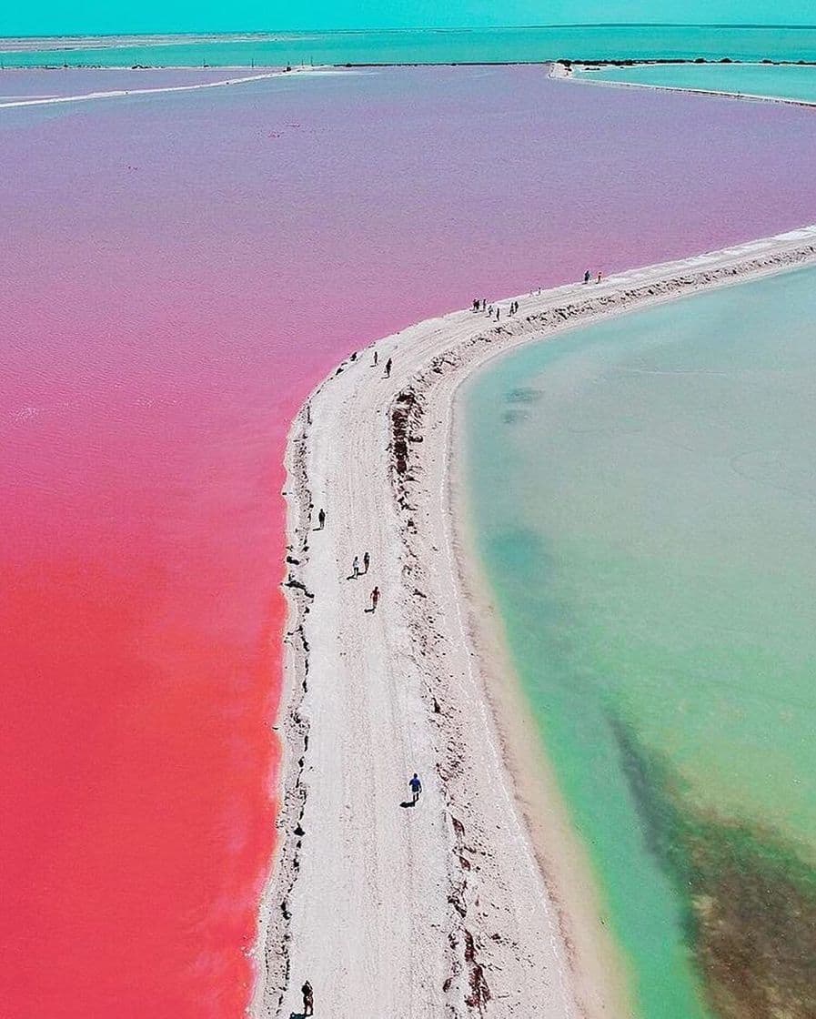 Lugar The Coloradas