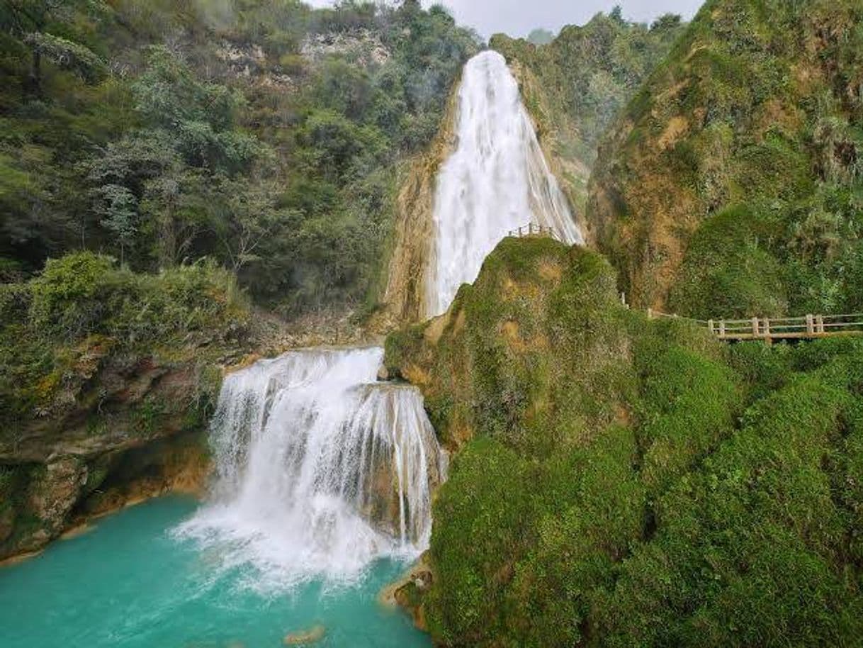 Lugar VELO DE NOVIA EL CHIFLON