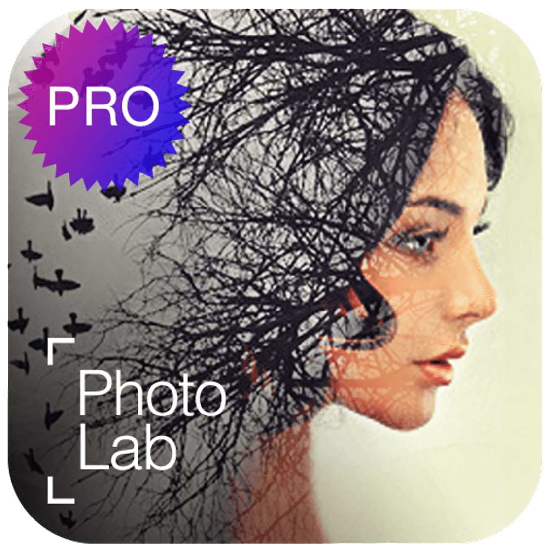 App Photo Lab Picture Editor & Art Face Editing Filter