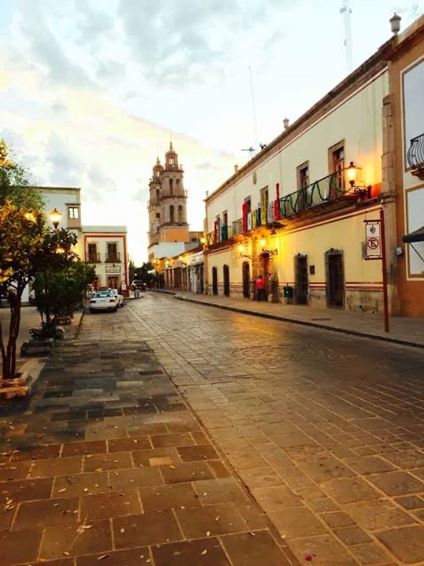 Place Jerez de García Salinas