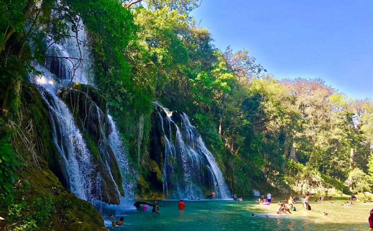 Place Cascadas de Tamasopo