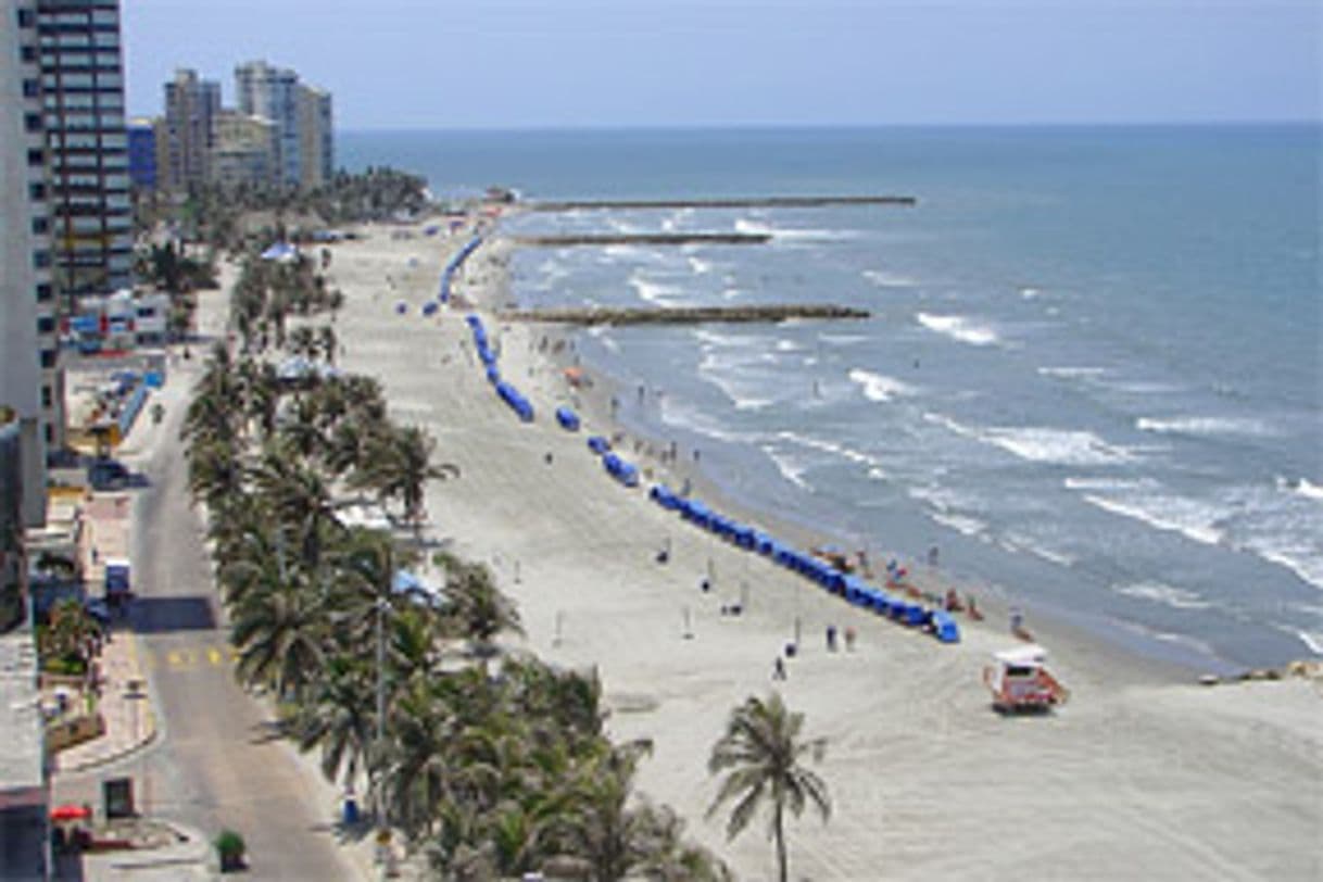 Place Playa De Bocagrande