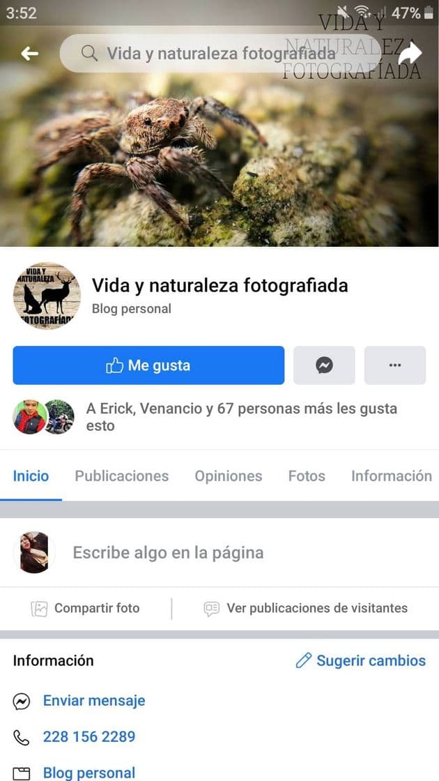 Fashion Fotografía de la naturaleza ❤