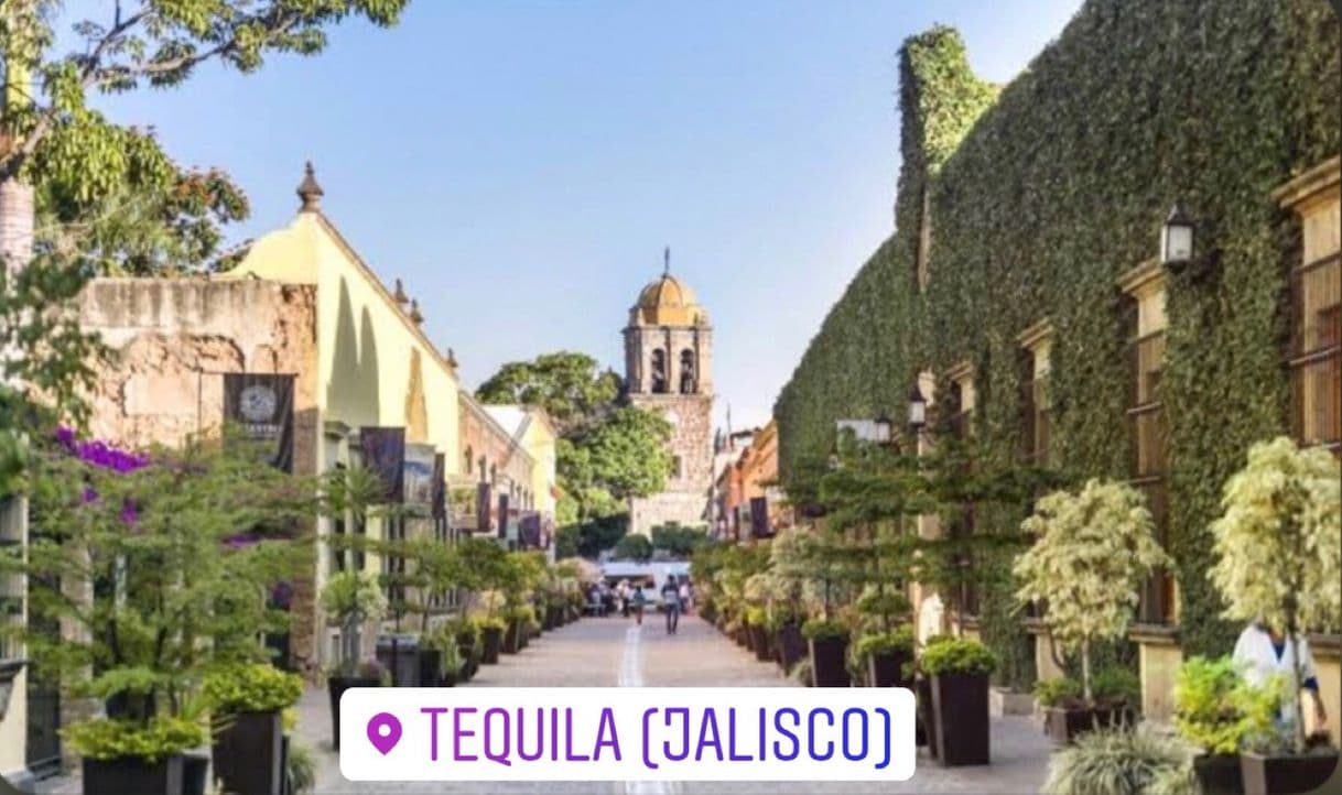 Lugar Tequila