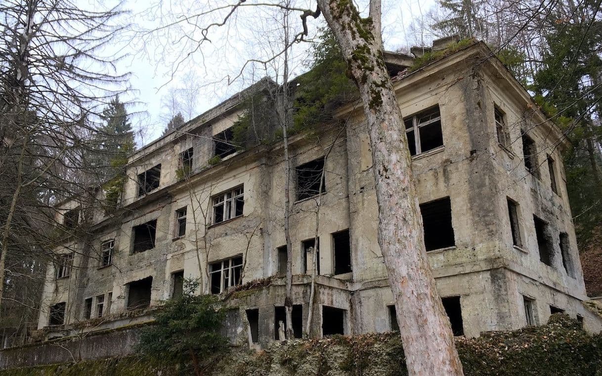 Película Sanatorium