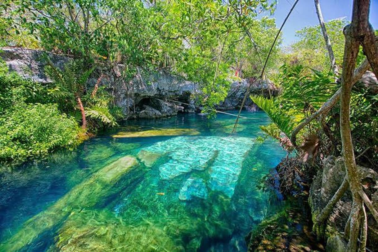 Place Cenote Cristalino