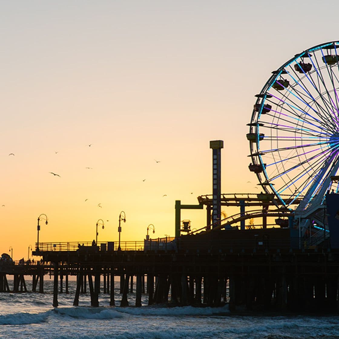 Place Santa Monica Beach