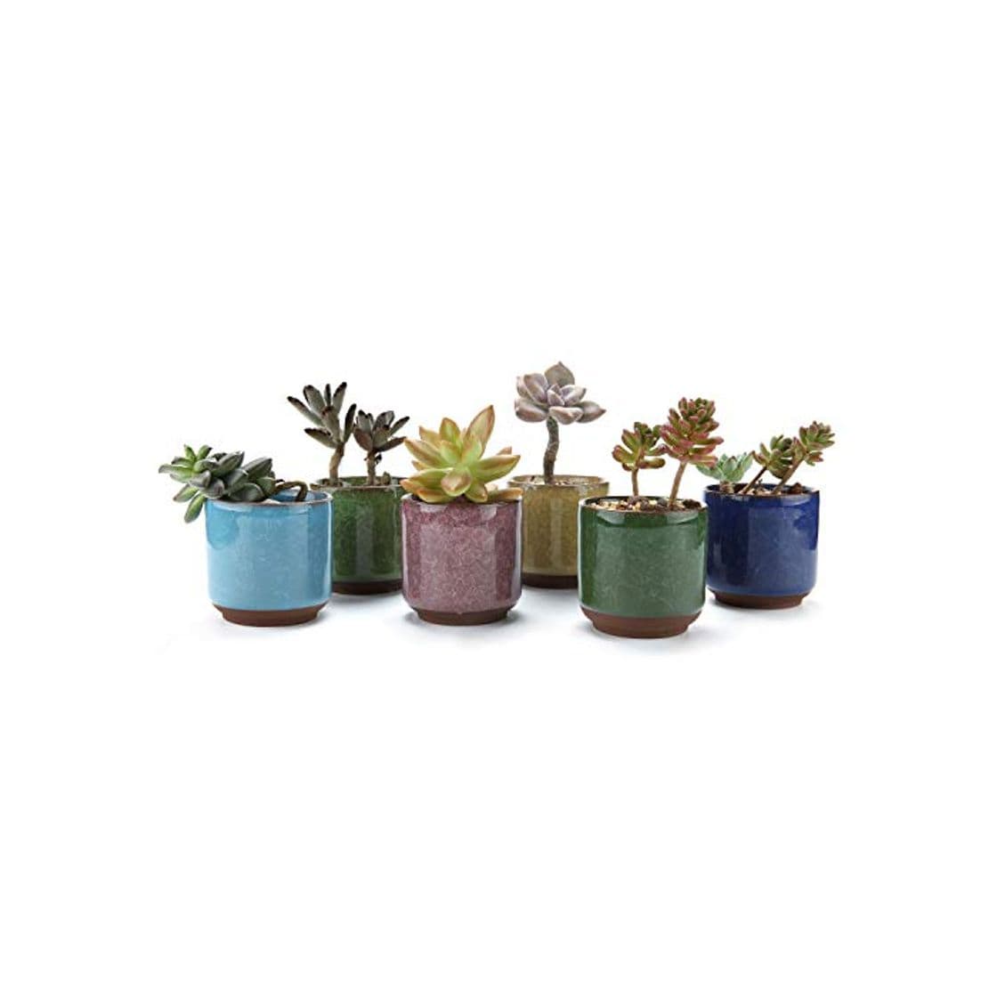 Producto T4U Conjunto de 6 Cerámica Ice Crack De Serie Elevado Zisha Cerámicos Planta Maceta Suculento Cactus Planta Maceta Planta Contenedor Vivero Maceta Macetas de jardín Macetas Envase