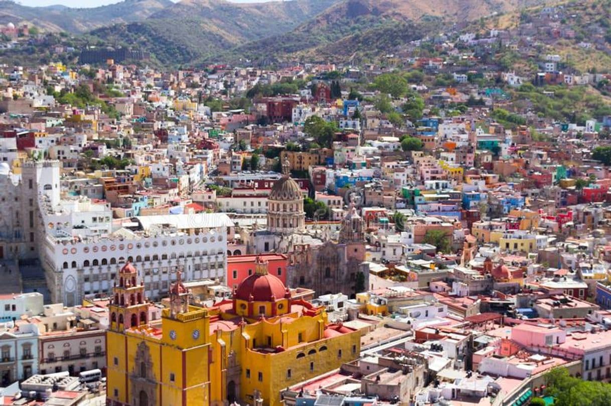 Place Leon Guanajuato 