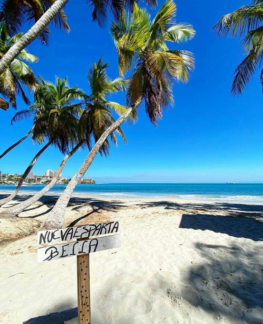 Place Isla de Margarita