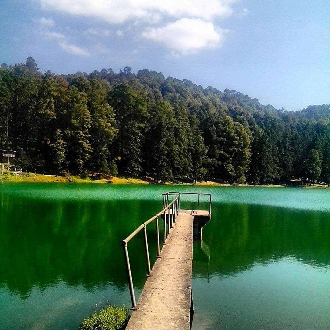 Place Los azufres Michoacan, Lago Verde