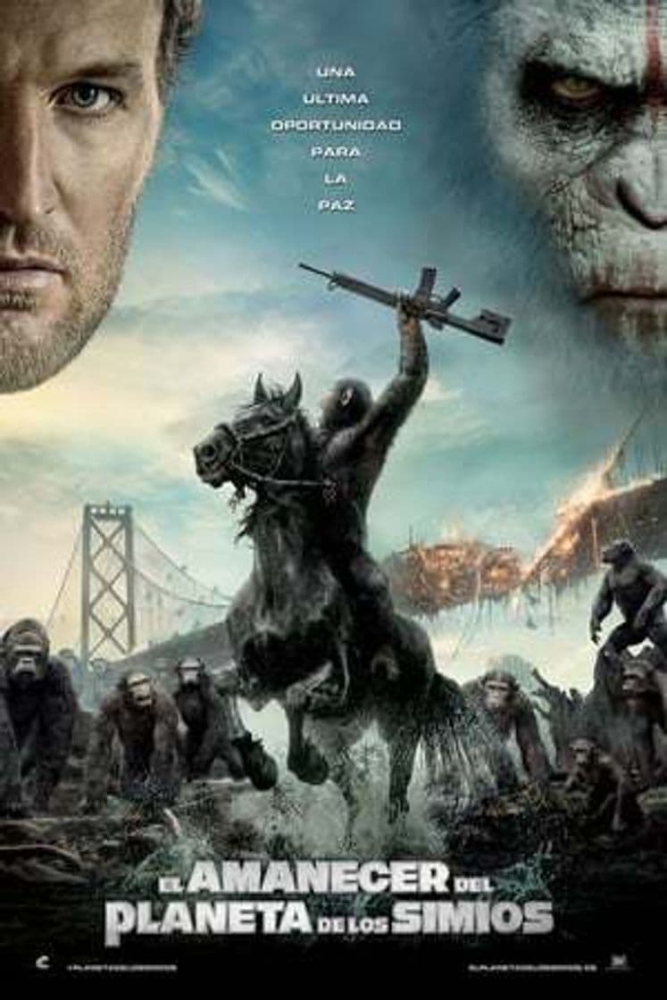 Película Dawn of the Planet of the Apes