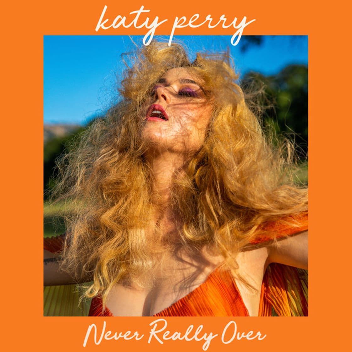 Canción Never Really Over