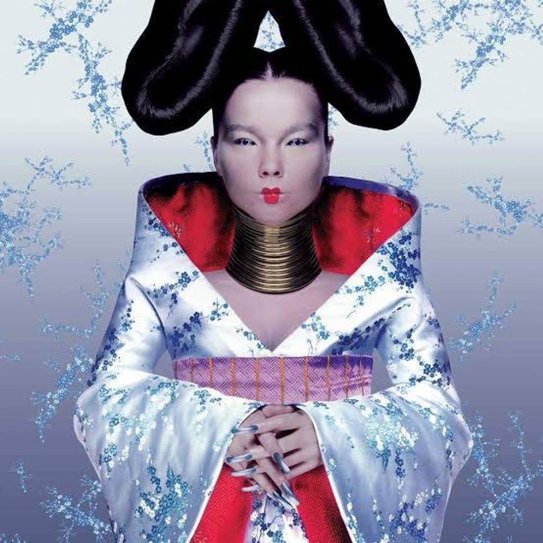 Book Björk - Homogenic 